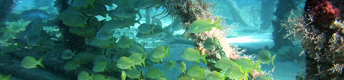 Underwater Sombrero